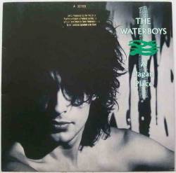 The Waterboys : A Pagan Place